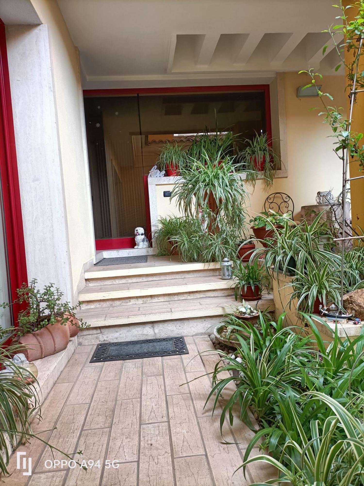 Gemma Di Gallura Charme B&B Όλμπια Εξωτερικό φωτογραφία