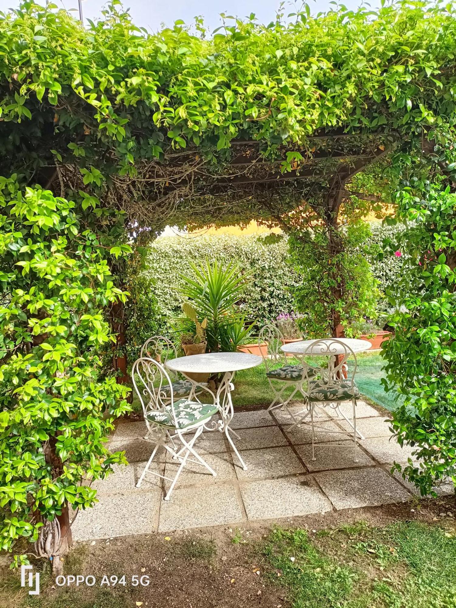 Gemma Di Gallura Charme B&B Όλμπια Εξωτερικό φωτογραφία