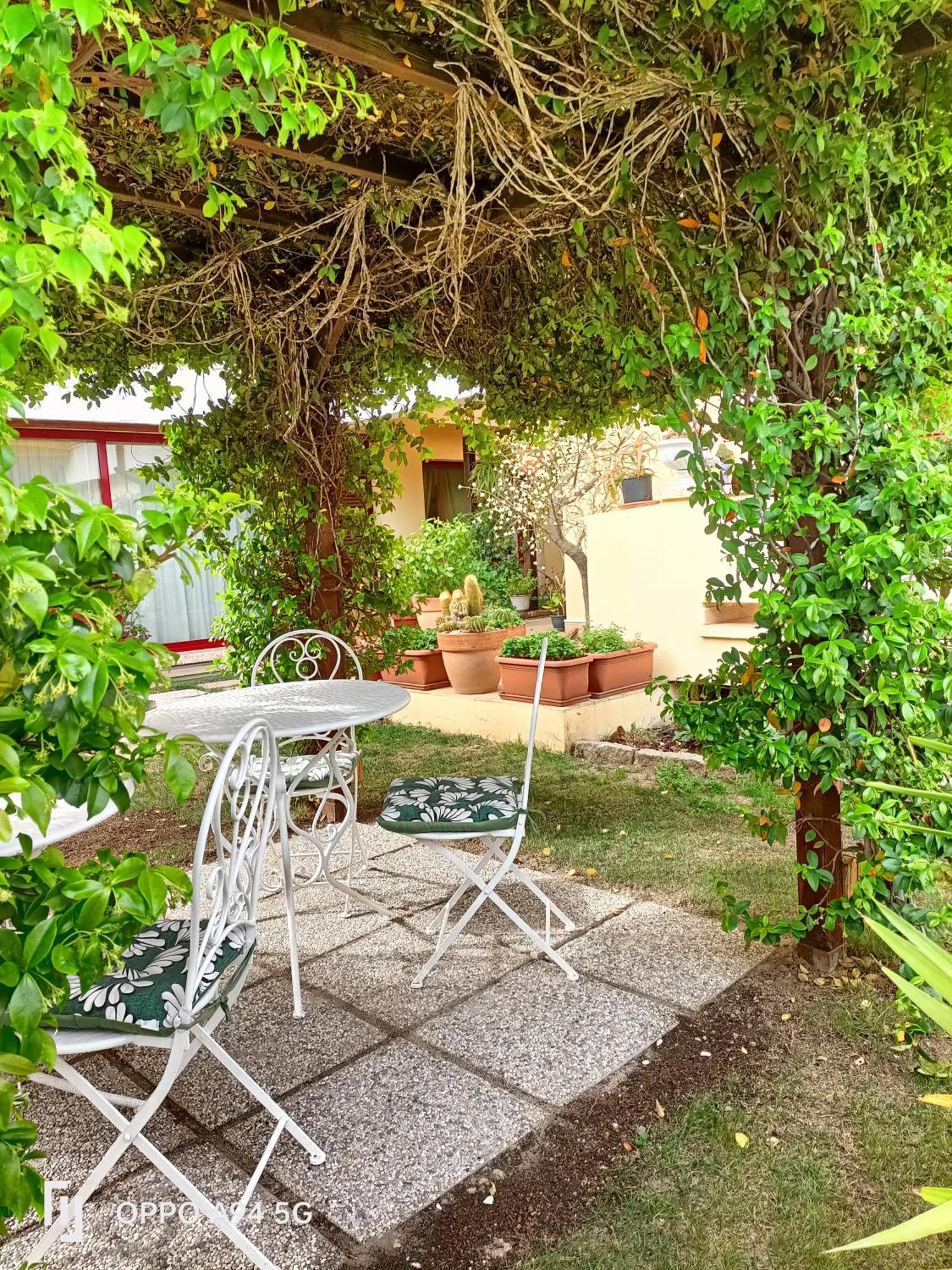 Gemma Di Gallura Charme B&B Όλμπια Εξωτερικό φωτογραφία